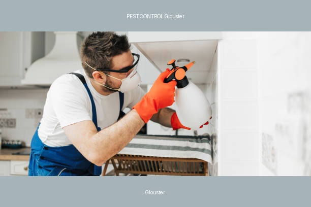 PEST CONTROL Glouster